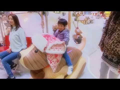 Mount Santa Paws, 2023 Christmas