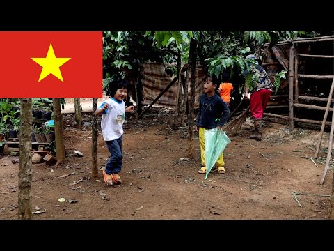 download lagu mp3 mp4 Coffee Farm Dalat, download lagu Coffee Farm Dalat gratis, unduh video klip Coffee Farm Dalat