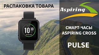 ³  - Aspiring CROSS (DI190208)