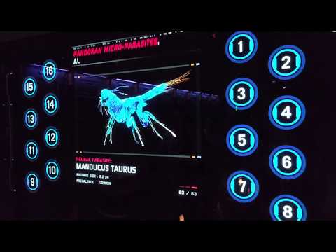 World of Pandora - Science lab at Disney's Animal Kingdom 4K UHD HDR Intro video