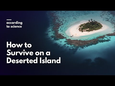 How to Survive Being Stranded on a Deserted Island, According to Science