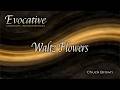 Waltz Flowers | Evocative (Cinematic Instrumentals)