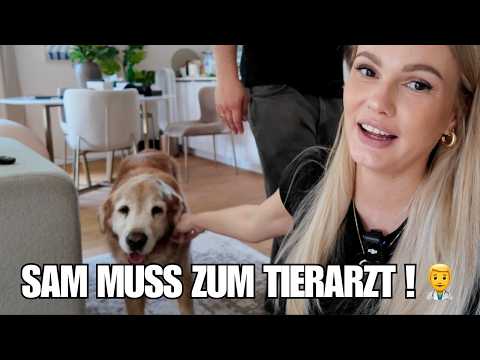 Unsere aufregende Kennenlernphase 😳 & kleine Maus hat im Bauch Schluckauf 🥰 I Daily Vlog
