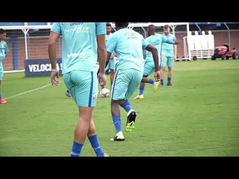 TV Avaí | Imagens do treino | 11.11.2021