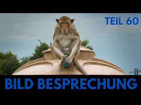 Professional tricks for stunning photography - Image review part 60