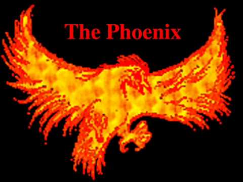 Enter The Phoenix