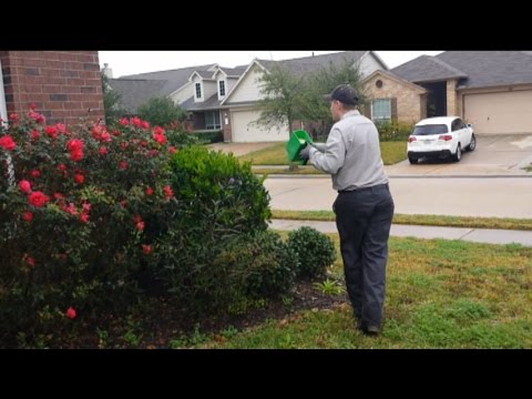 Our 4-Step Residential General Pest Control Service