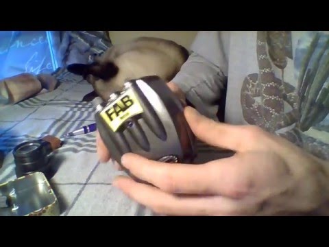 Danelectro FAB D-3 Metal (the inside) part 2