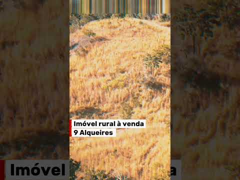 📍 9 alqueires de área total 📍 Região da Santa Rita – Niquelândia/GO