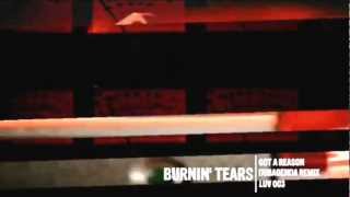 Burnin Tears - Got A Reason (Dub Agenda Remix)