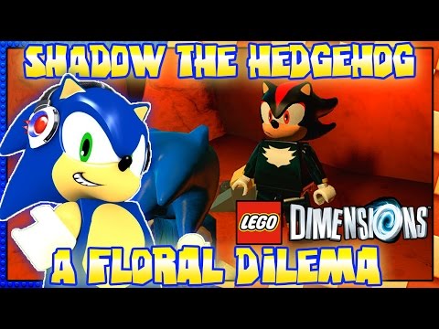 ABM: Lego Dimensions Shadow The Hedgehog A Floral Dilema!!