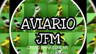 Download lagu el mejor canto para enseñanza de timbrados!. mp3