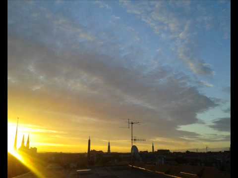 Danique, Distorted Beauty - Scream  ( Gabriel Anada Remix )