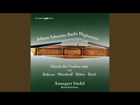 Violin Partita No. 2 in D Minor, BWV 1004: IV. Gigue