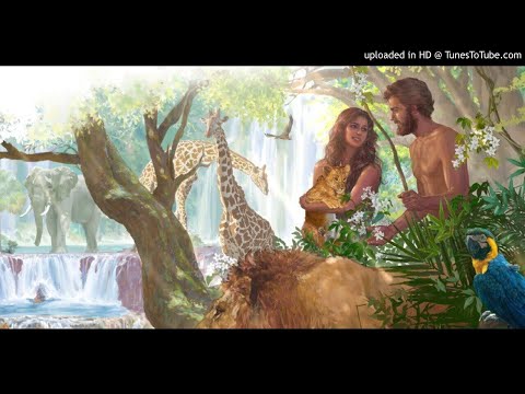 Szczery Hali - Adam z Raju