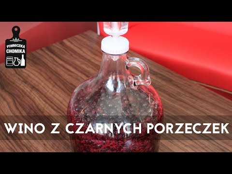 How to make...? #146 Blackcurrant Wine l Chomika Cellar