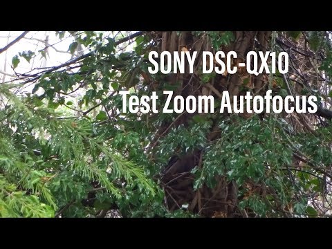 DSC-QX10 Test Zoom Autofocus