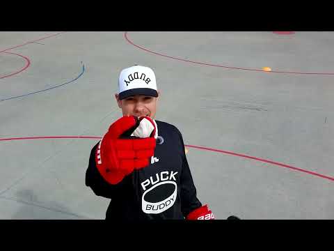 Puck Buddy
