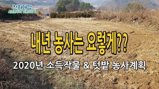 2020년 농사계획 (텃밭 상세도 및 농작물 재배 계획)