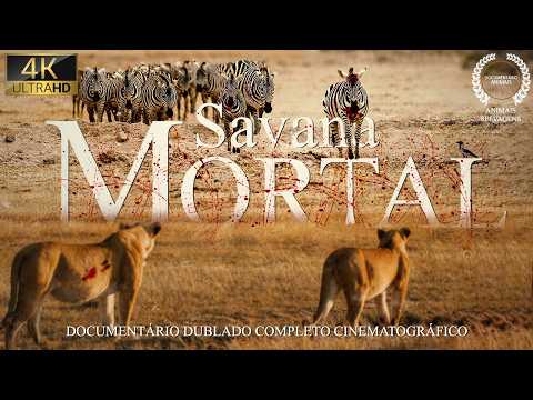 SAVANA AFRICANA | Conflitos Mortais entre Predadores e Presas | Documentário de Vida Selvagem