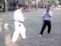 kung fu vs Karate