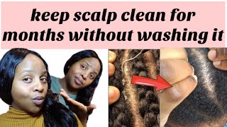 How to keep scalp clean for "months"without washing while oiling scalp everyday / oiling scalp