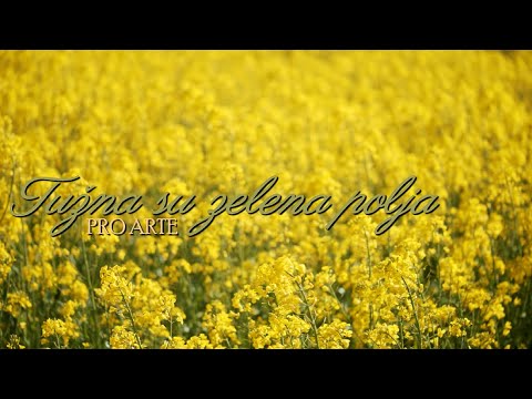 Pro Arte - Tužna su zelena polja (Official lyric video)