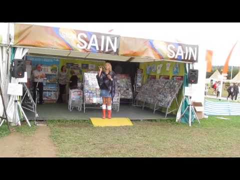 Elin Fflur   Y Llwybr lawr i'r Dyffryn