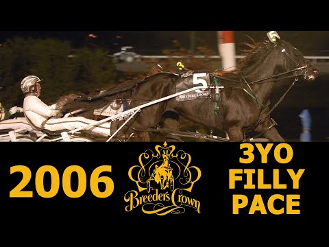 2006 Breeders Crown - My Little Dragon - 3YO Filly Pace