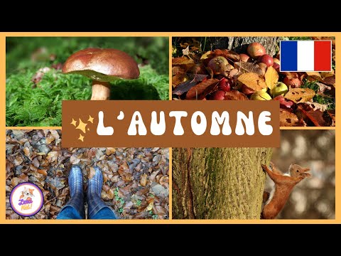 L'automne pour les enfants en français - Apprendre le vocabulaire