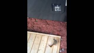 Nailed in the nuts! karma