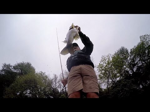 GoPro: Richie Pusateri - Best Catch 7.15.15 - Fish