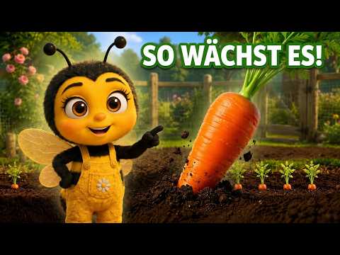 Mia die Biene Video ansehen