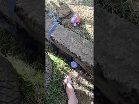 PRA FINALIZAR O POSTO FREI DAMIÃO PLANALTO BAHIA BR 116,DEIXAR RAÇÃO PRA ELES