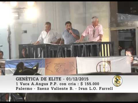 01-12-15 Ventas ( Parte 1 ) - Genetica de Elite - Palermo - Buenos Aires