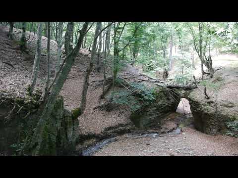 Feel The Mountains 2