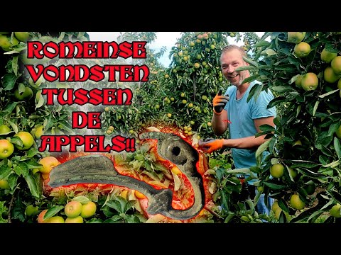 ZOVEEL ROMEINSE VONDSTEN tijdens METAALDETECTIE in een BOOMGAARD BIZAR! #metaaldetector #schatzoeken