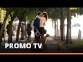 DOG DAYS Promo Tv