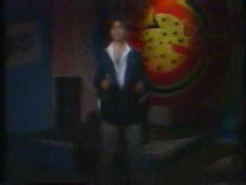 MR MASTER  A dog in the night