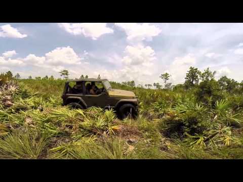 Brevard Jeeps at Holopaw