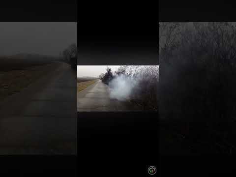 Petardo SuperCobra5 DiBlasio #fireworks #petardi #pyro #botti #capodanno #firecracker