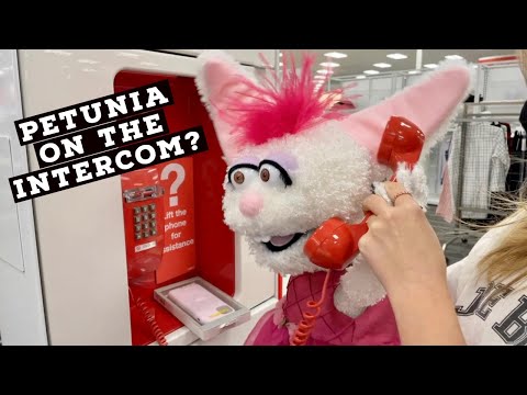 PETUNIA INFILTRATES TARGET!