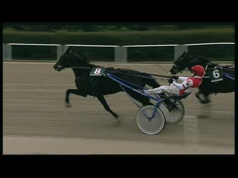 Trotto 24/10/2020 - 3ª corsa