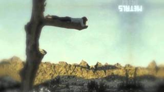 Feist - Bittersweet Melodies