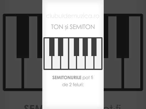 TON si SEMITON