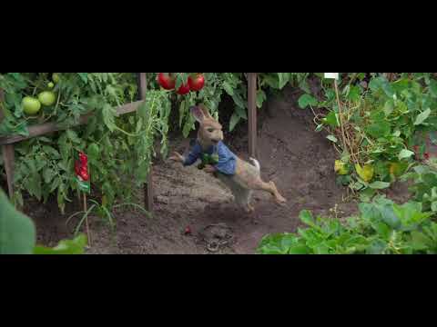 Rabbit Stealing Vegetables