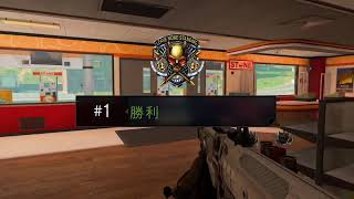 CoD®: BO4 ブラックオプス WARZONE初勝利！
