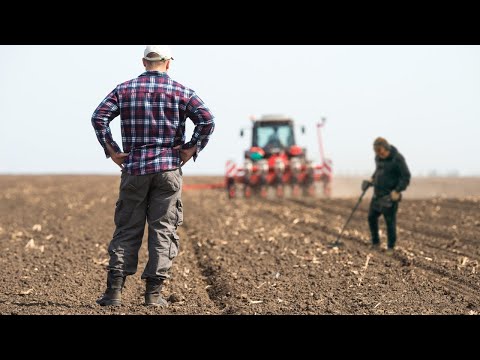Master the Art of Metal Detecting: Insider Tips Revealed