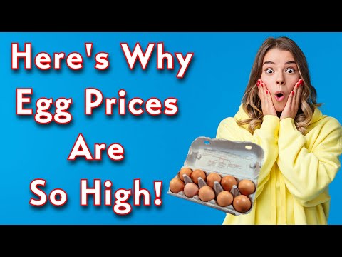, title : 'Why Eggs Prices Are So High'
