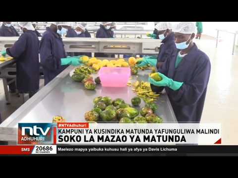 Wakulima wa matunda Kilifi watarajiwa kunufaika kwa kupata soko la mazao yao
